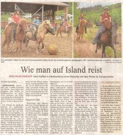 Zeitungsartikel Hoffest